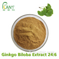 Poudre d&#39;extrait de feuille de Ginkgo biloba EP UPS